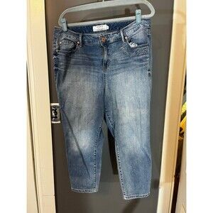 Torrid size 18Xs 18 short skinny jeans follow your dream love embroidered